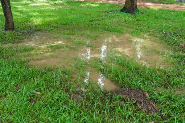 Cost of Storm Water Drainage Service in Springdale