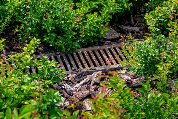 Cost of Underground Drainage Service in Springdale