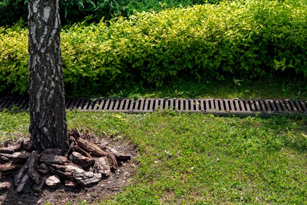 Cost of Yard Water Redirection in Springdale