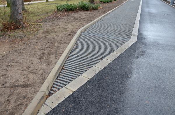Cost of Muddy Yard Drainage in Springdale