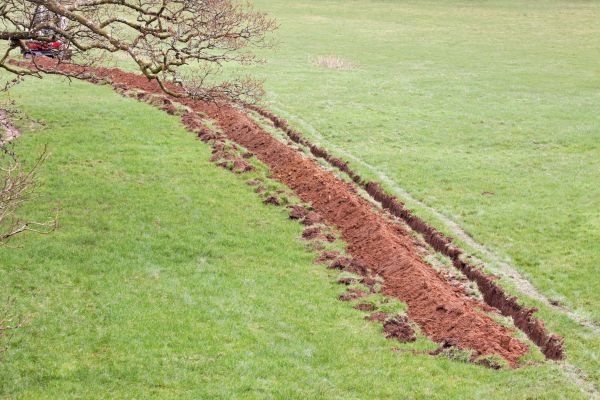 Cost of Swale Installation in Springdale