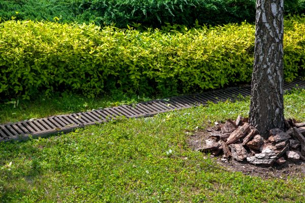Cost of Residential Landscape Drainage in Springdale