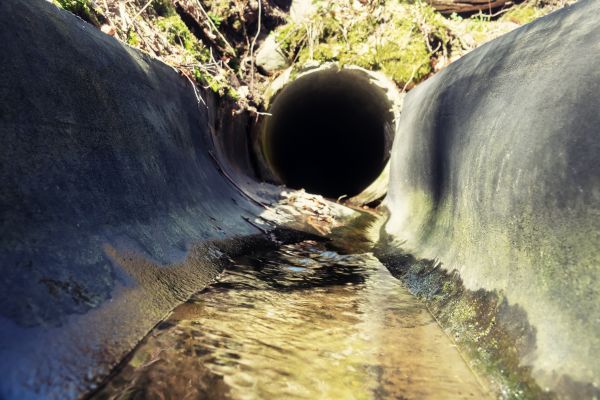 Drainage Swale Installation in Springdale