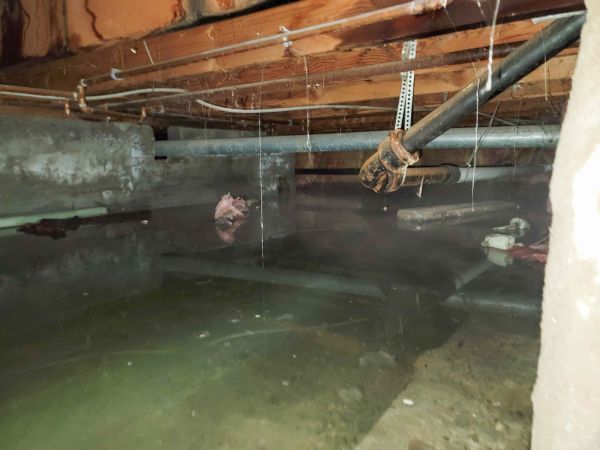 Cost of Crawlspace Drainage in Springdale