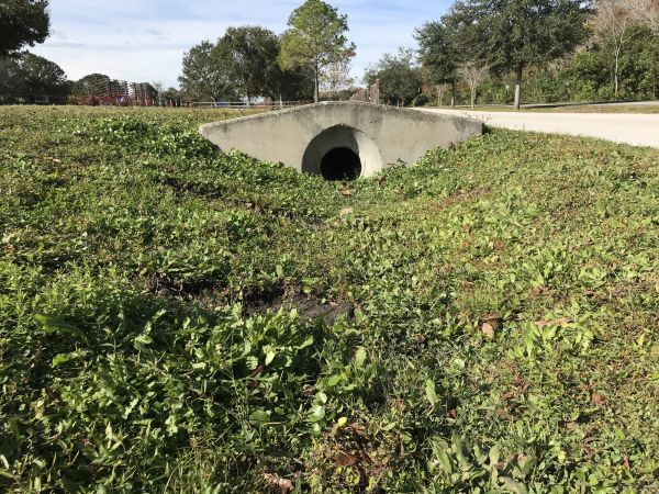 Cost of Swale Drainage Service in Springdale