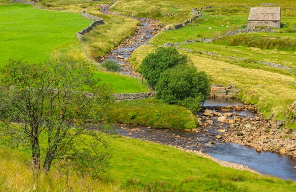Cost of Swale Repair in Springdale